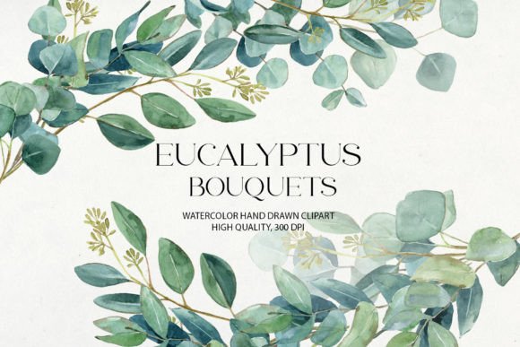 Download Watercolor Eucalyptus Bouquets Clipart - Eucalyptus Collection