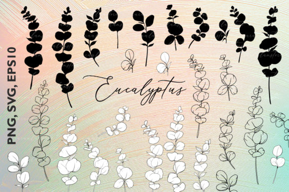 Download Eucalyptus SVG, Eucalyptus Silhouette - Eucalyptus Collection