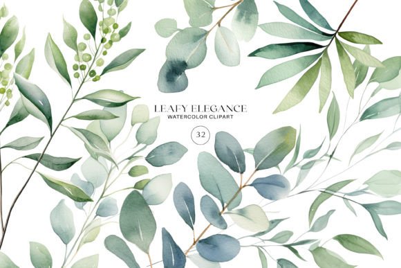 Download Watercolor Eucalyptus Leaf Clipart Set - Eucalyptus Collection