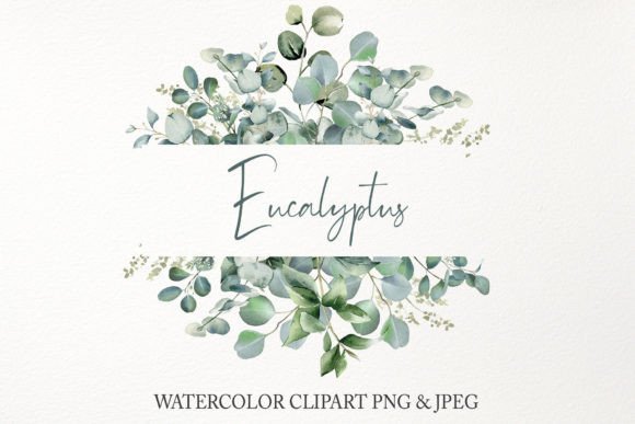 Download Eucalyptus Border Frame Clipart PNG - Eucalyptus Collection