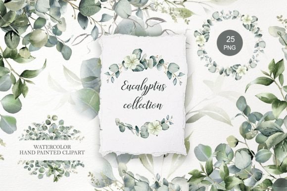 Download Eucalyptus Clipart. Watercolor Greenery - Eucalyptus Collection