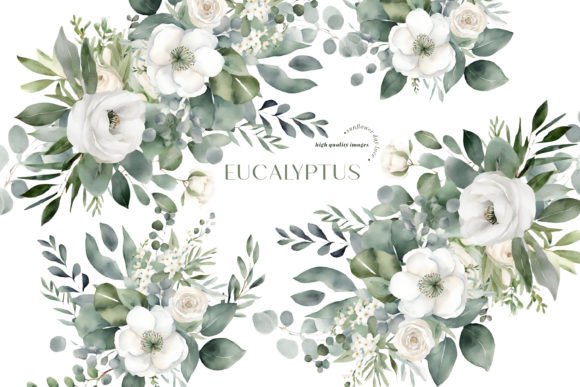 Download Elegant Eucalyptus Greenery Clipart - Eucalyptus Collection