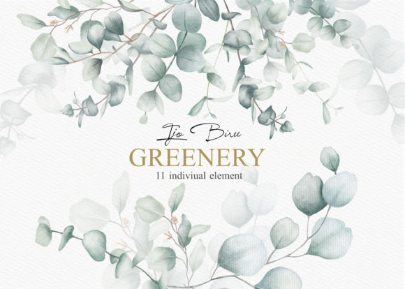 Download Greenery Eucalyptus Watercolor Clipart - Eucalyptus Collection
