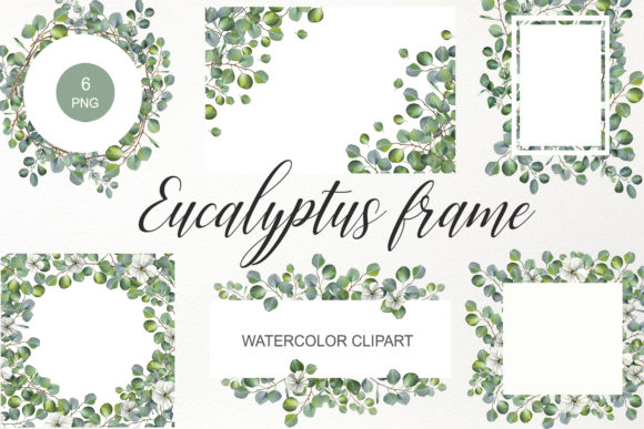 Download Watercolor Eucalyptus Frame Clipart PNG - Eucalyptus Collection