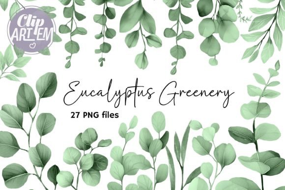 Download Eucalyptus Greenery ClipArt 27 PNG Sage - Eucalyptus Collection