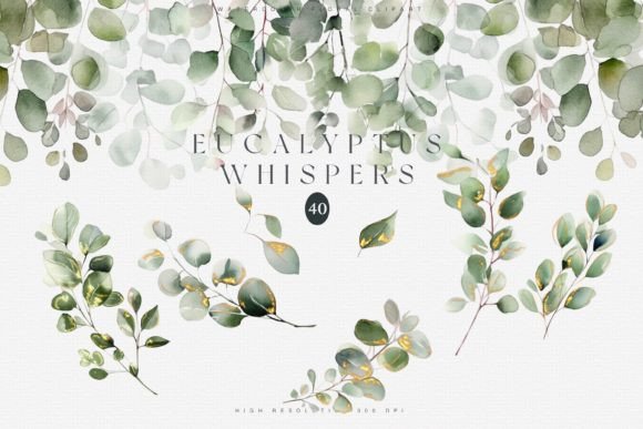 Download Watercolor Eucalyptus Clipart Set - Eucalyptus Collection