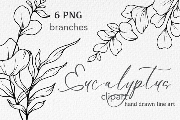 Download Eucalyptus Branches LINE ART. Eucalyptus - Eucalyptus Collection