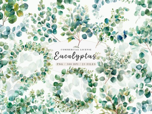 Download Eucalyptus Bundle, Eucalyptus Clipart - Eucalyptus Collection